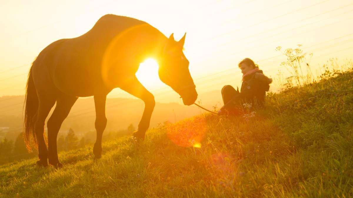 Viaje activo por Eslovenia