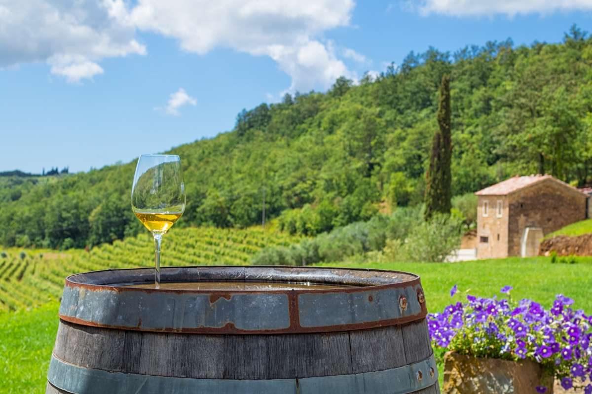 Vino croato