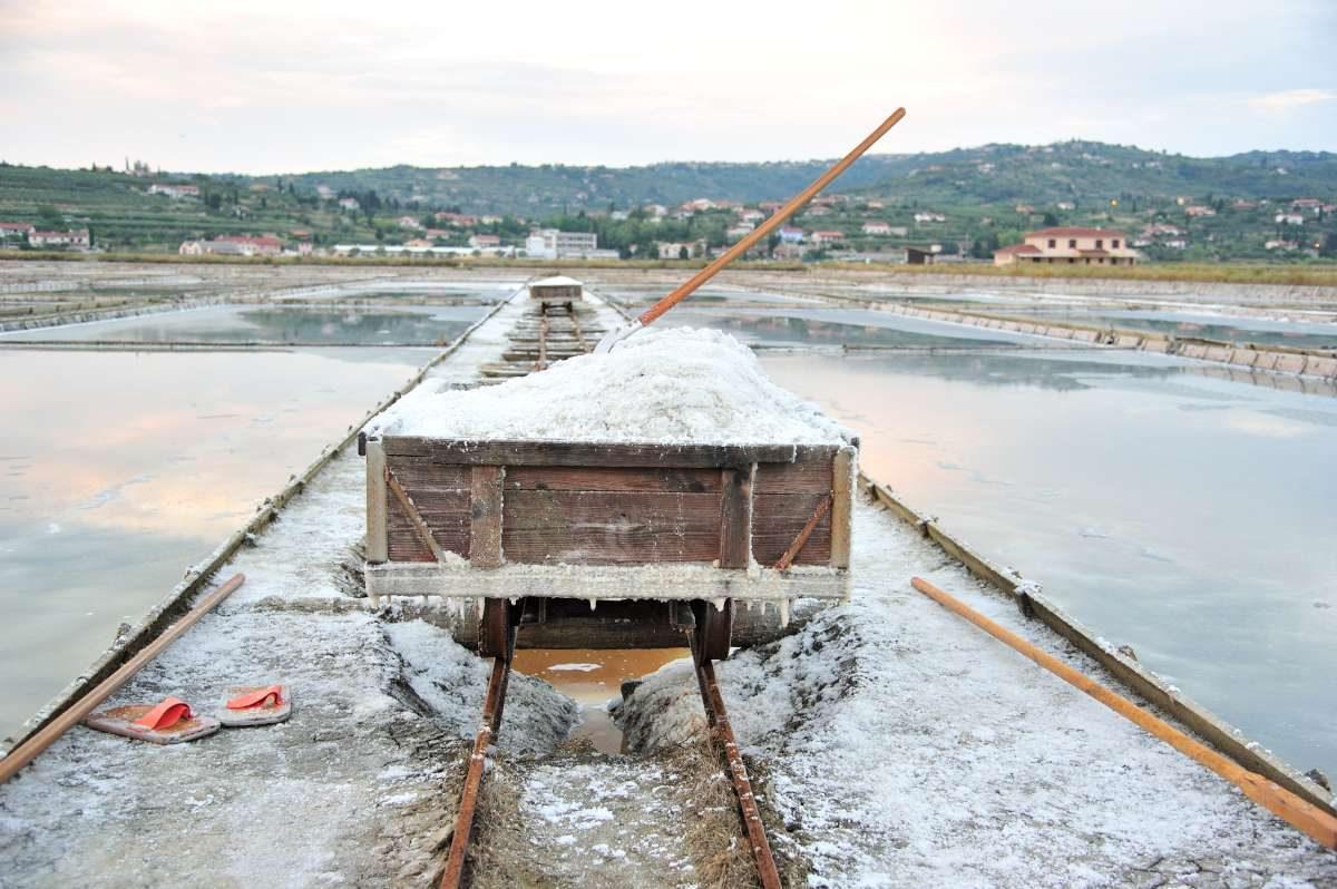 Viaje culinario por Eslovenia, sal eslovena
