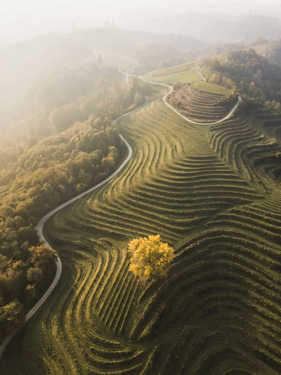 Viaje gastronómico por Eslovenia
