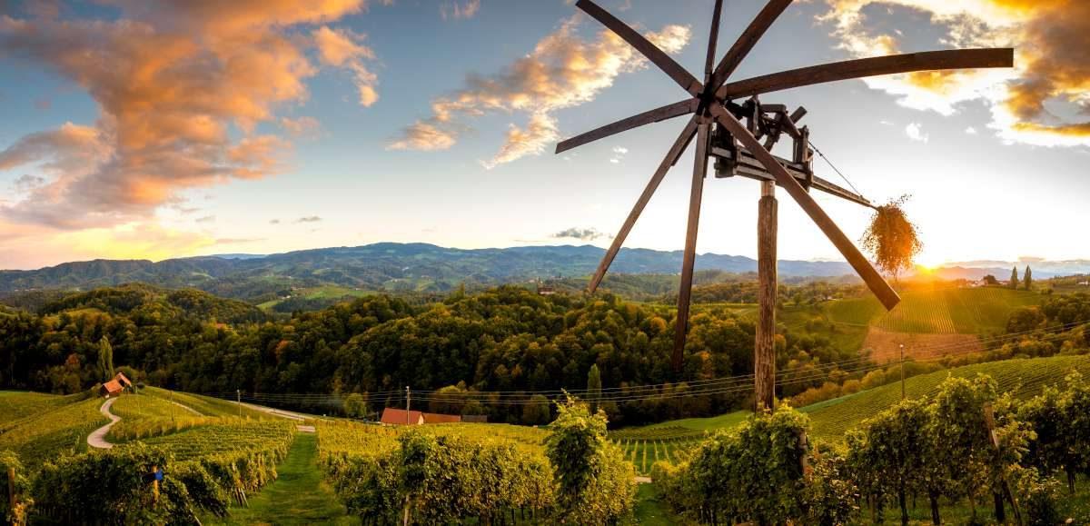 La región de vino en Eslovenia con Ekorna EXPERIENCE