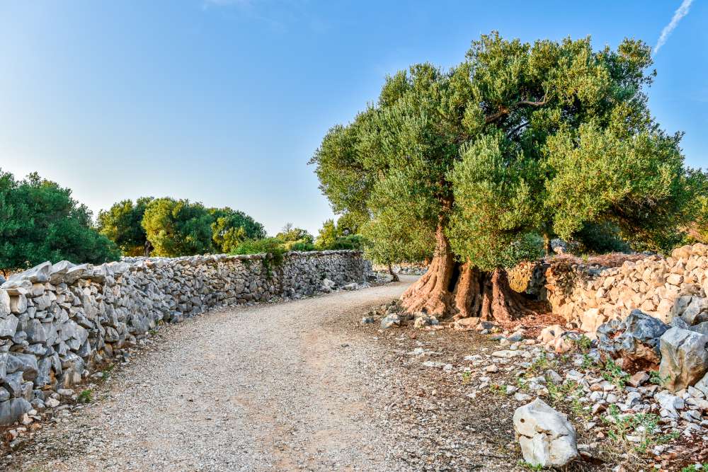 Viaje en otoño por Croacia y Eslovenia