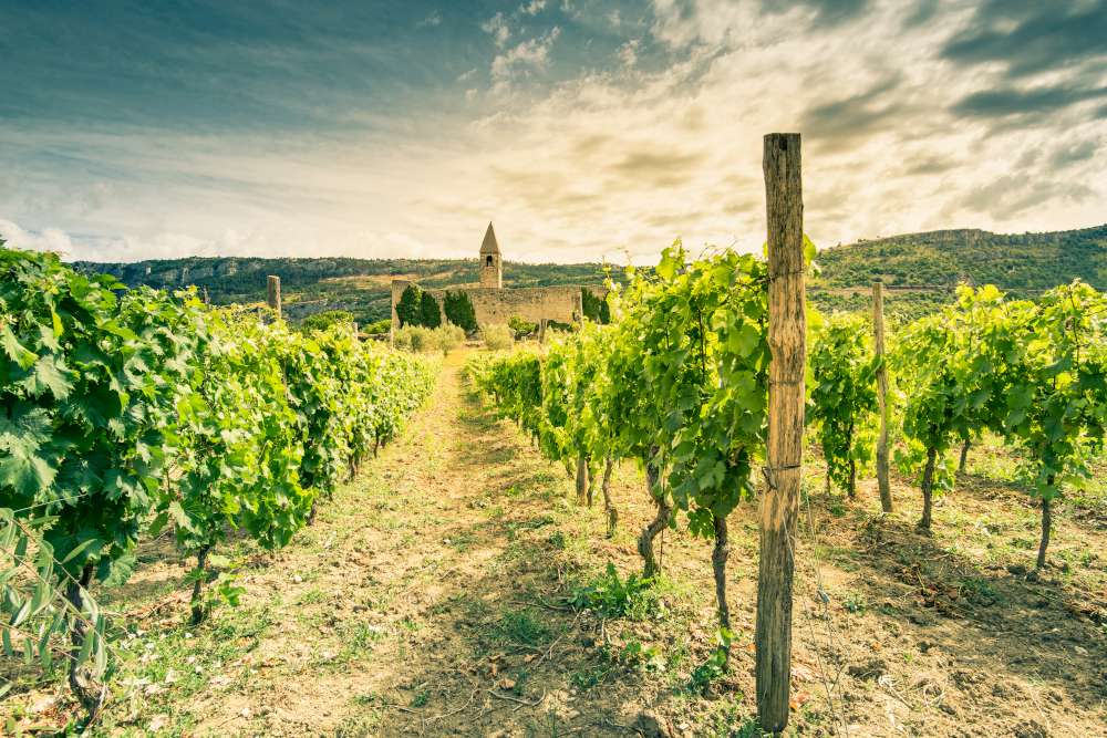 Vino esloveno - Hrastovlje