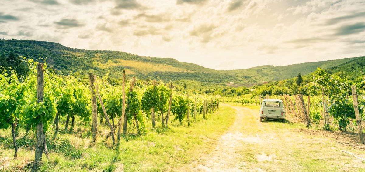 Ruta de vino esloveno