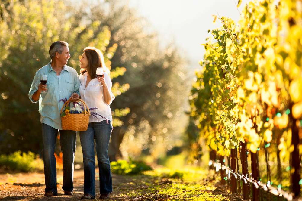 Slow travel - Rutas del vino esloveno