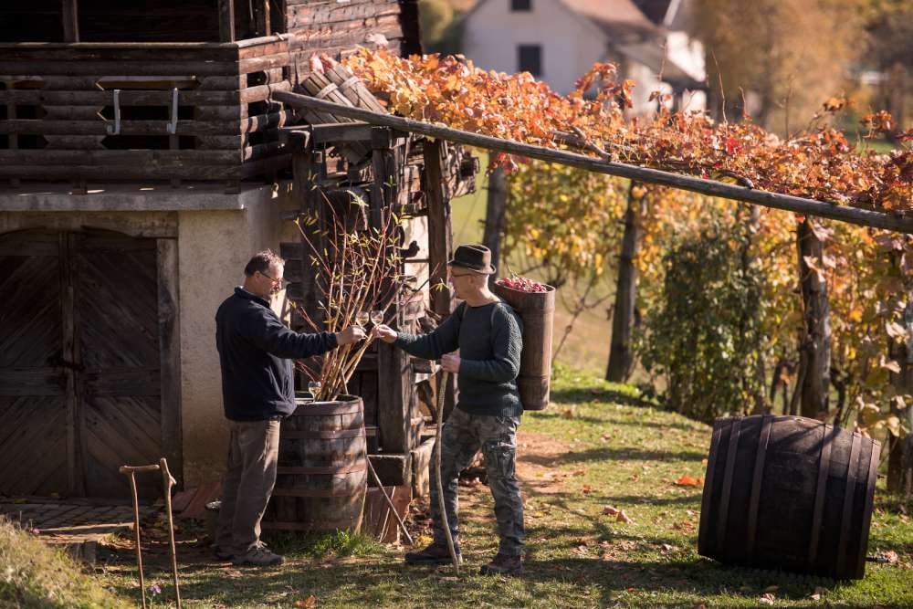 Región vinícola del Bajo Sava en Eslovenia, zidanica