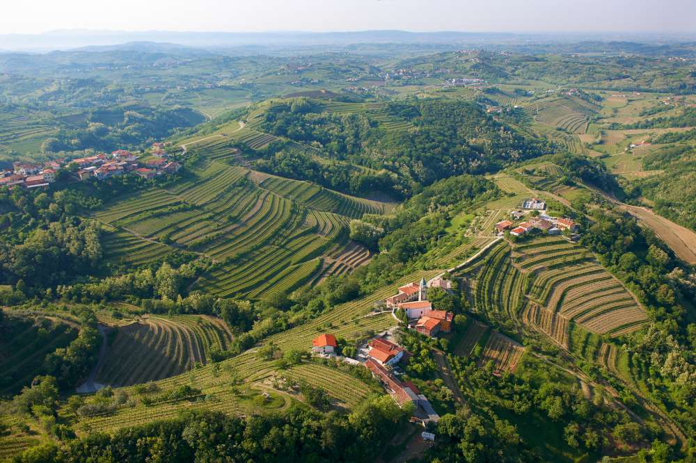 Vino esloveno, Goriška Brda