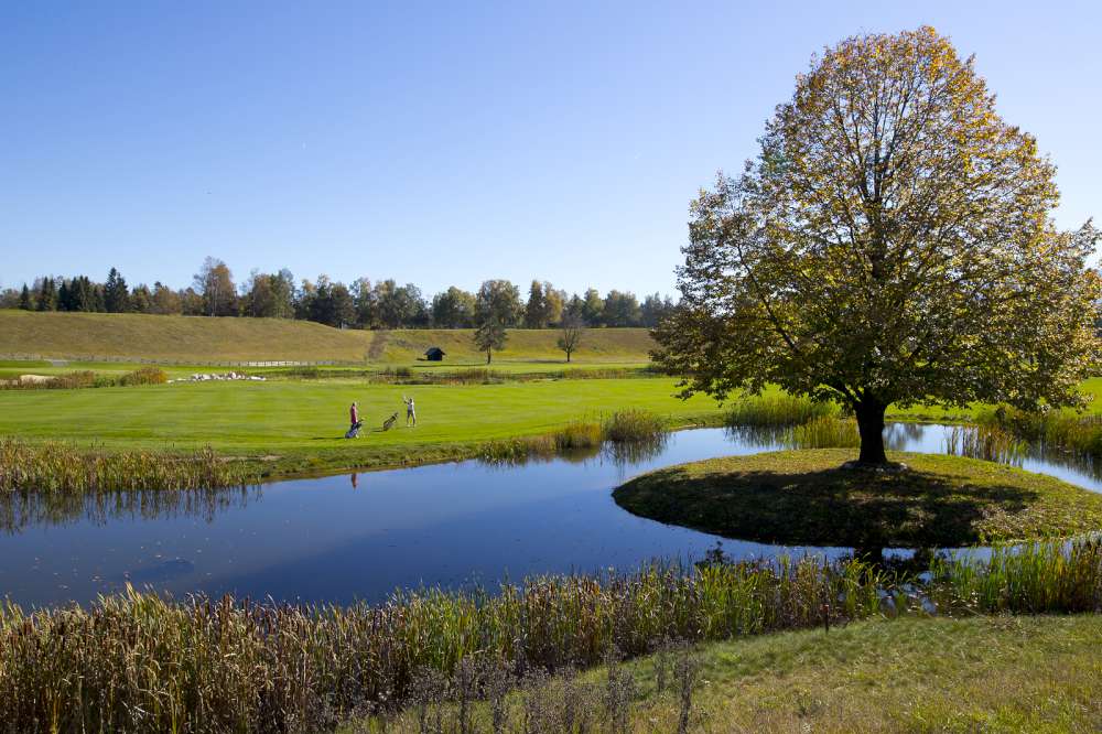 Golf en Bled
