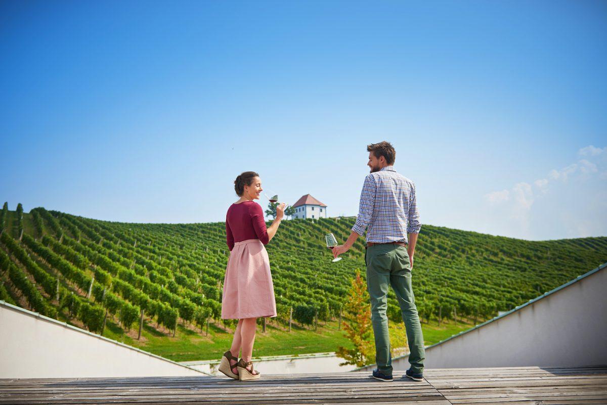 Degustación de vinos en Eslovenia