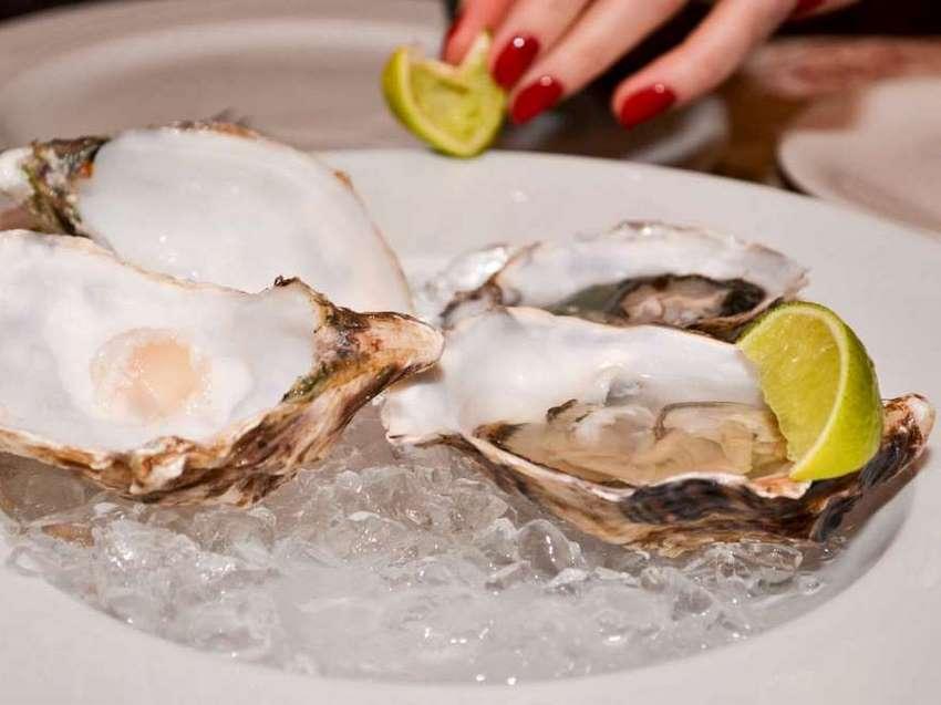 ostras en croacia